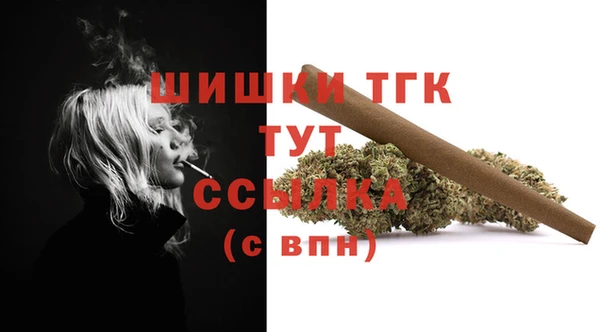 гидра Бронницы