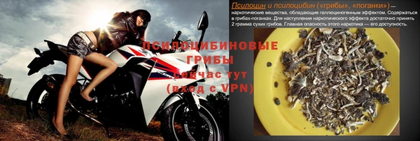 гидра Бронницы
