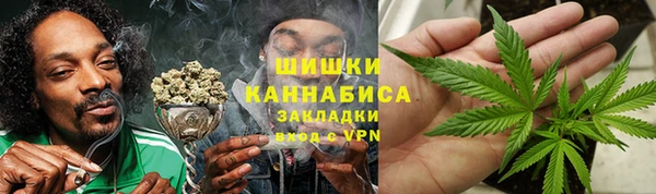 сатива Бугульма