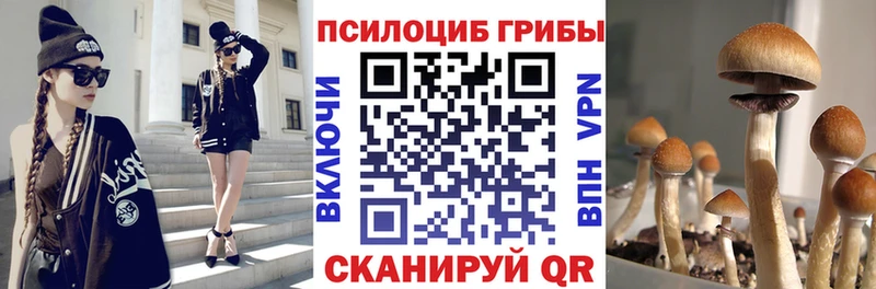 Псилоцибиновые грибы Psilocybe Можайск